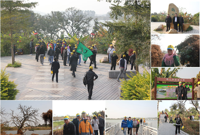 南方力劲鹤之洲湿地公园游